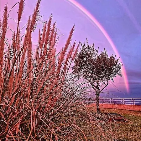 Location Cap Neree Acces Mer Direct, Piscine Et Jardin, Le Trayas Entre Cannes Et Saint-Raphael Apartamento